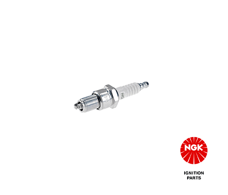 Spark Plug (4028)