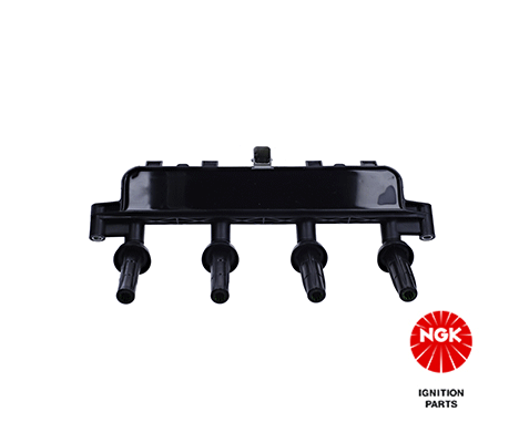 Ignition Coil (48016)