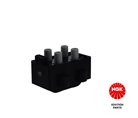 Ignition Coil (48078)