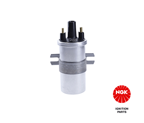 Ignition Coil (48300)