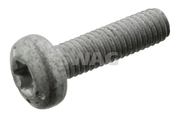 Screw (30 10 2039)