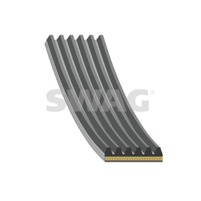 V-Ribbed Belt (33 10 8870)