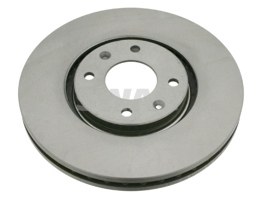 Brake Disc (64 92 2923)