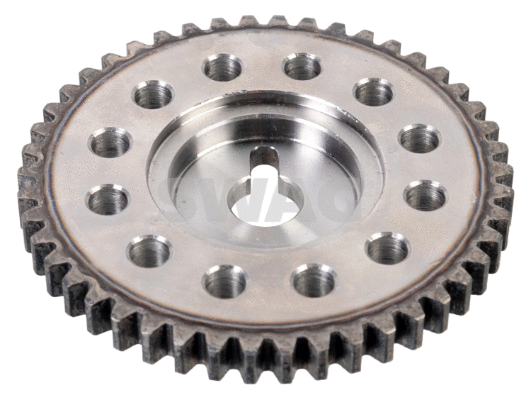 Gear/Sprocket, camshaft