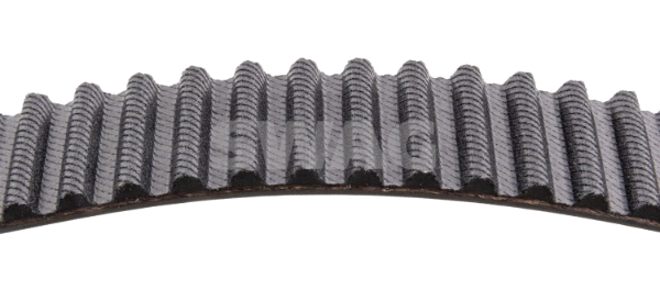 Timing Belt