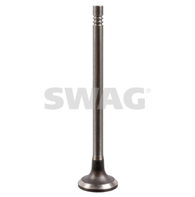 Intake Valve (33 10 3081)