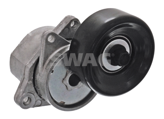 Belt Tensioner, V-ribbed belt (82 10 4902)