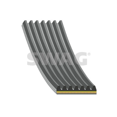 V-Ribbed Belt (33 10 8796)