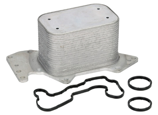 Oil Cooler, engine oil (33 11 0677)