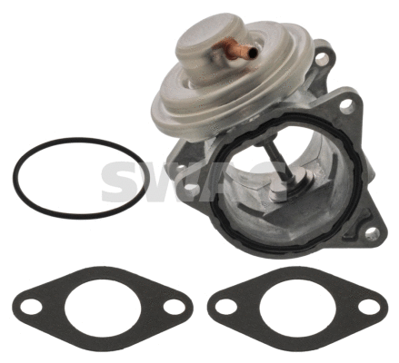 EGR Valve (30 93 9713)