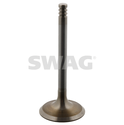 Intake Valve (30 93 7220)
