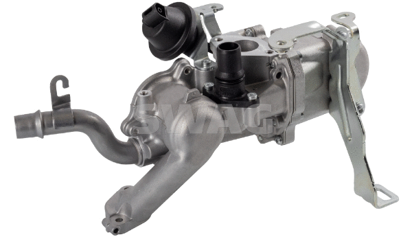 EGR Module