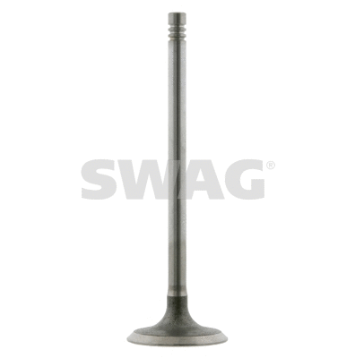 Intake Valve (20 92 4160)