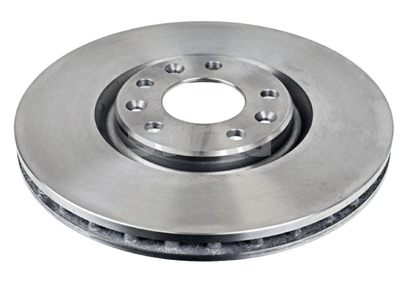 Brake Disc (33 10 0167)