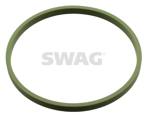 Gasket, intake manifold (30 10 7960)