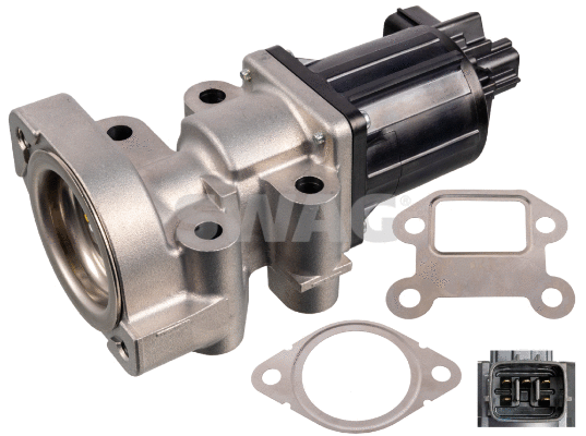 EGR Valve (33 10 0491)