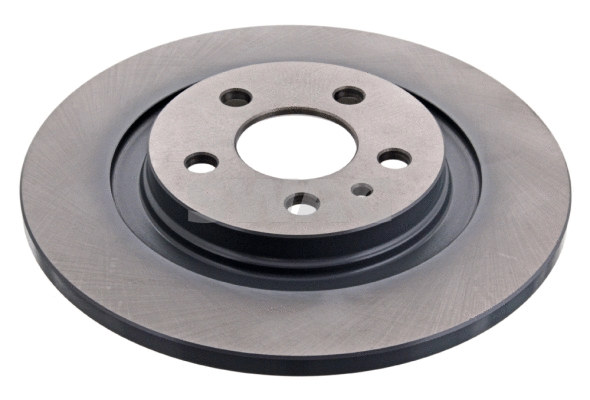 Brake Disc (62 94 3983)