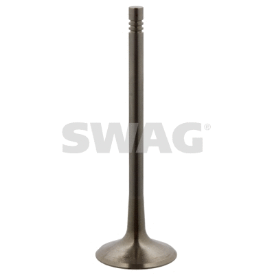 Intake Valve (30 93 6497)