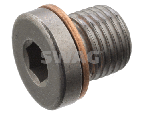 Screw Plug, axle drive (30 10 1020)