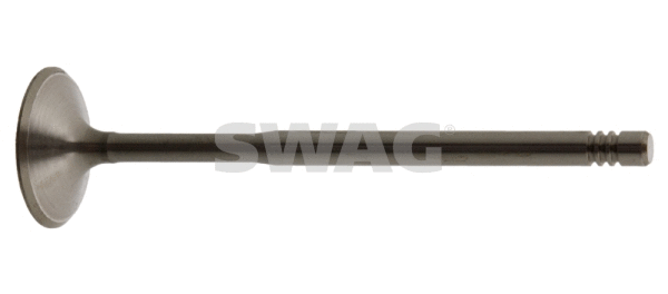 Intake Valve (30 34 0009)