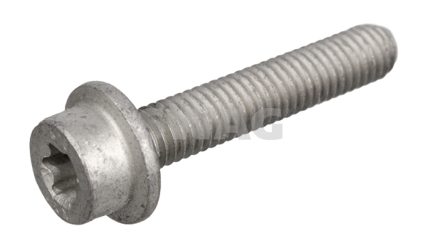 Screw Plug, transmission housing (10 94 6395)