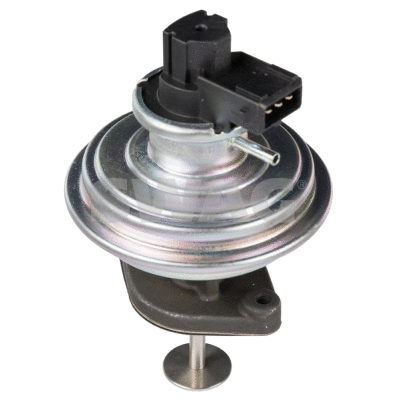 EGR Valve (20 10 7787)