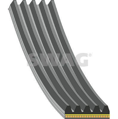 V-Ribbed Belt (33 10 8173)