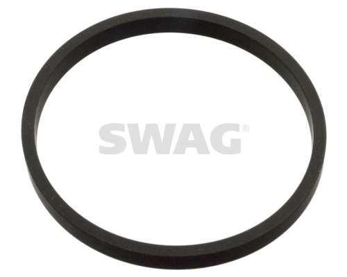 Gasket, throttle body (30 10 3795)