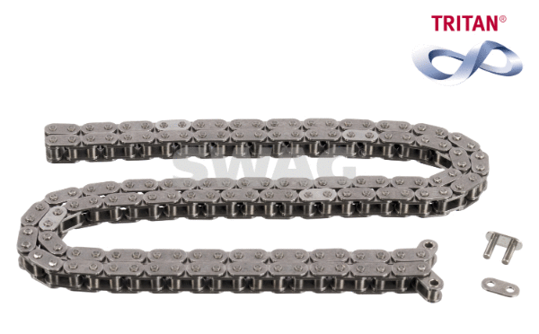 Timing Chain (10 10 9231)