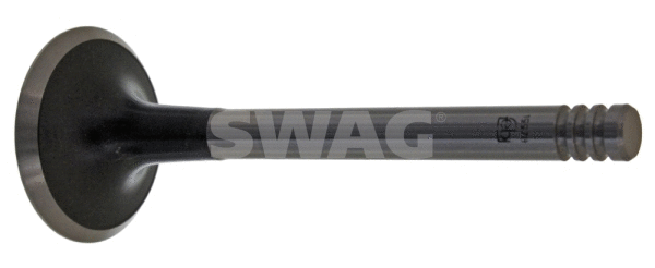 Intake Valve (30 91 9978)