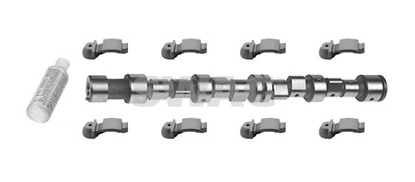 Camshaft Kit (40 91 8812)