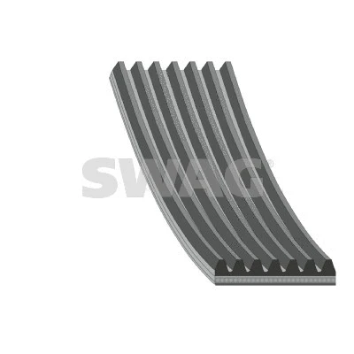 V-Ribbed Belt (33 10 6424)