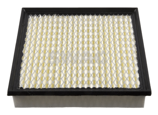 Air Filter (70 94 9655)
