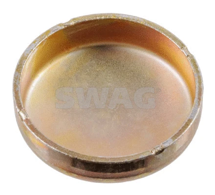 Frost Plug