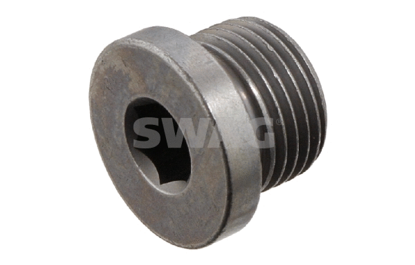 Screw Plug, oil sump (20 93 1702)