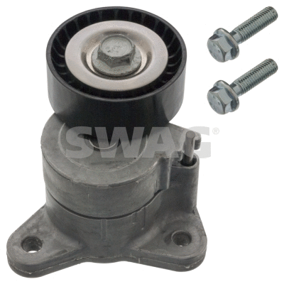 Belt Tensioner, V-ribbed belt (80 94 8750)