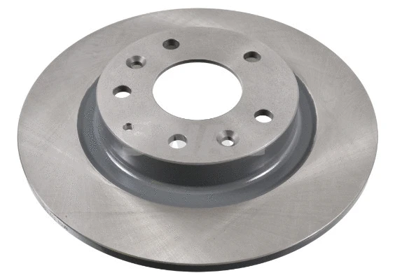 Brake Disc (33 10 6389)