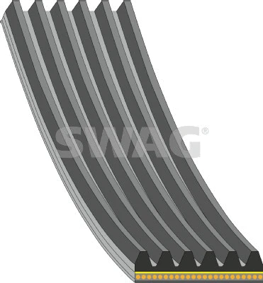 V-Ribbed Belt (33 10 8174)
