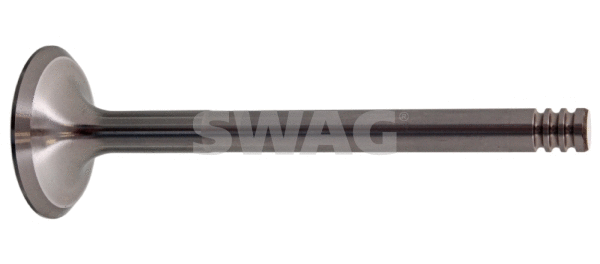 Intake Valve (30 91 9966)