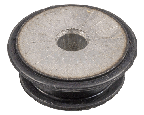 Bushing, axle beam (89 10 6332)