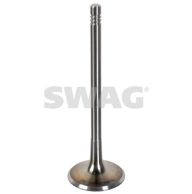Intake Valve (33 10 8107)