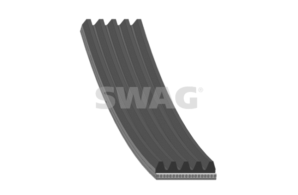 V-Ribbed Belt (50 93 8241)