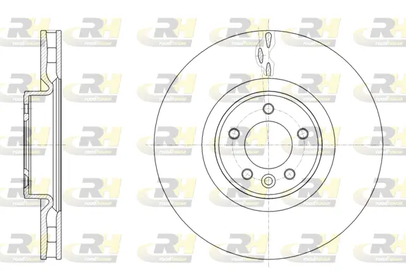 Brake Disc (61611.10)