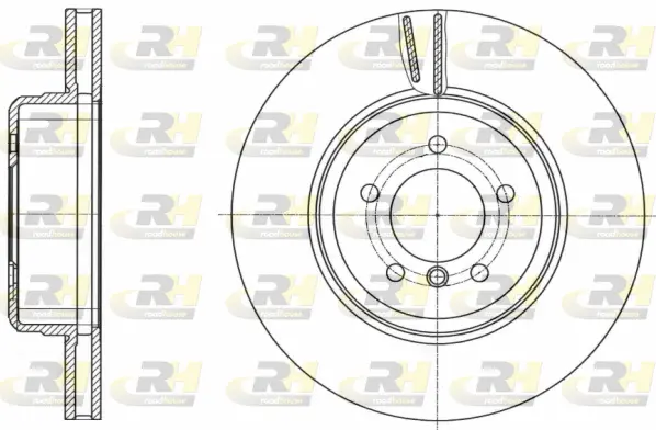 Brake Disc (61491.10)