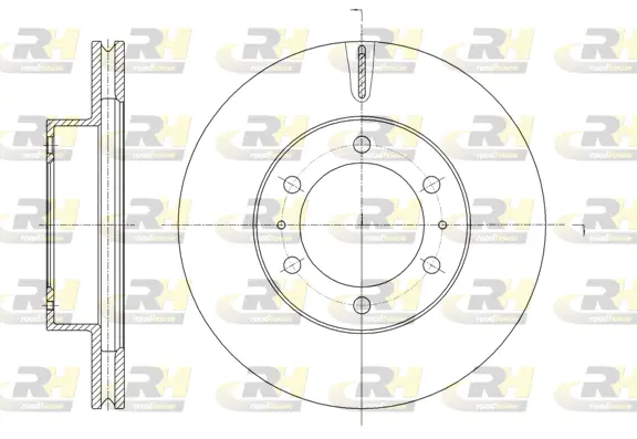 Brake Disc (61875.10)