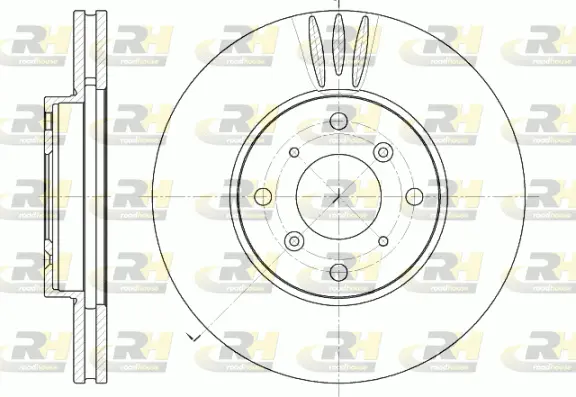 Brake Disc (6641.10)