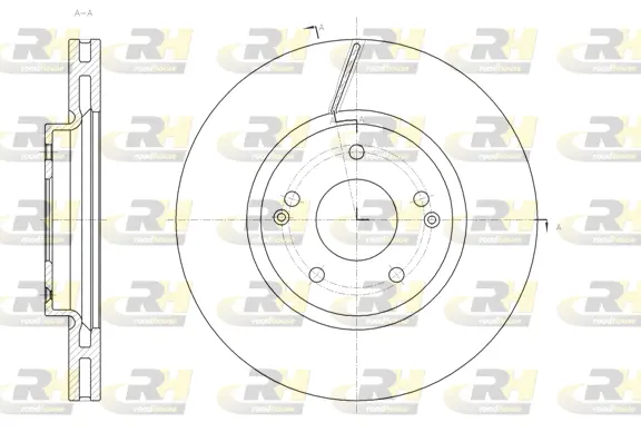 Brake Disc (61663.10)