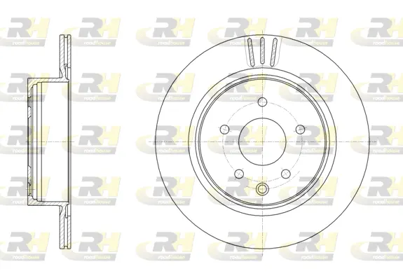 Brake Disc (61991.10)