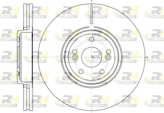 Brake Disc (6695.10)