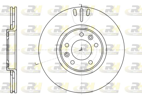 Brake Disc (61051.10)